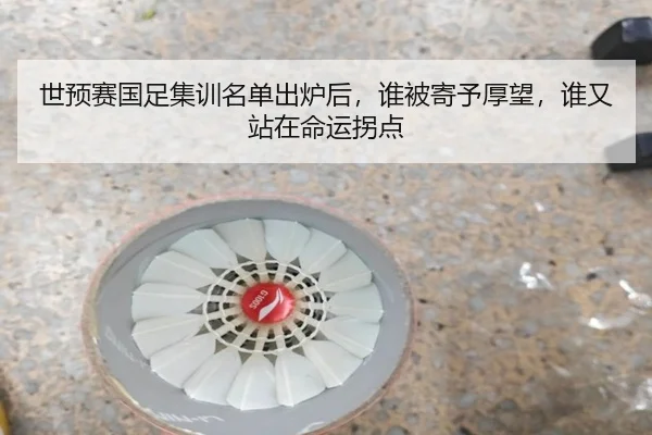 世预赛国足集训名单出炉后，谁被寄予厚望，谁又站在命运拐点